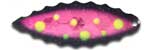 Warrior Lures 090 I See Spots Willow Leaf fishing blades.  Bass and Walleye fishing blades.